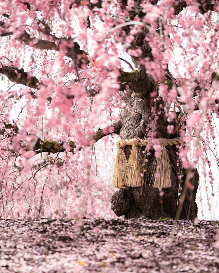 Вдохновляющая Япония - 6