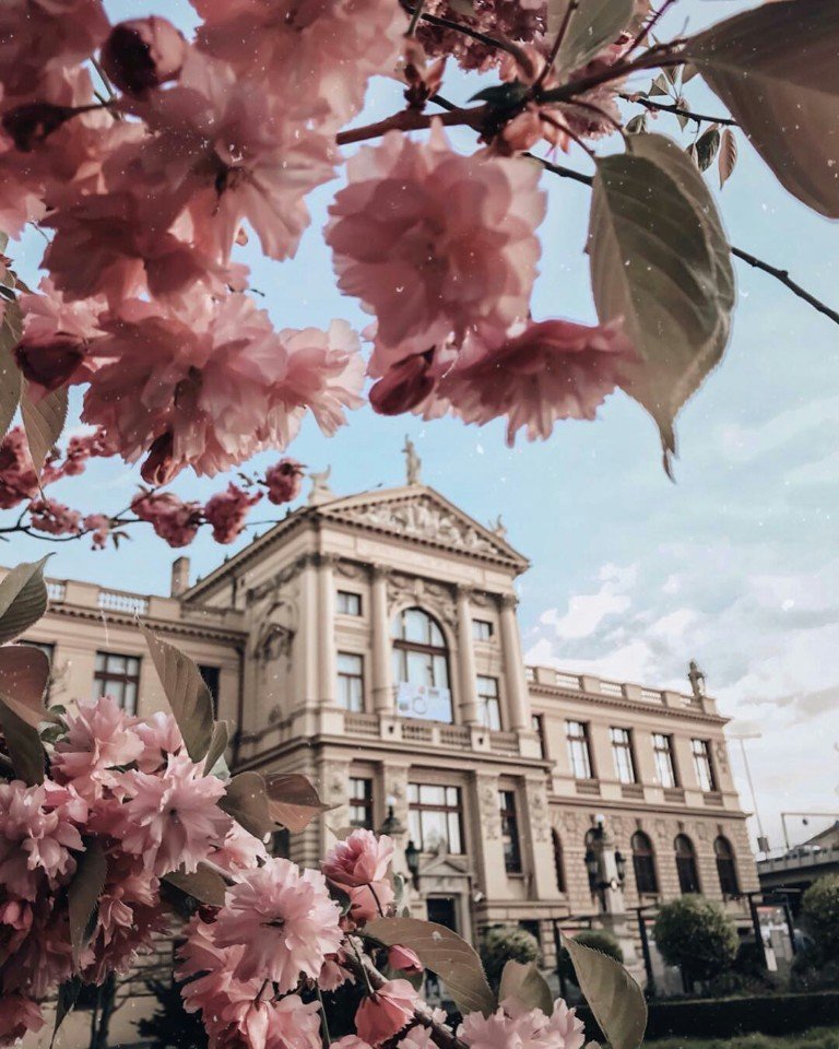 Beautiful spring Prague - 9