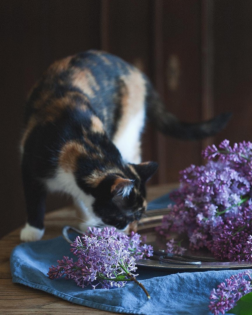Запомните одно: всё будет хорошо. Главное верить. - 8
