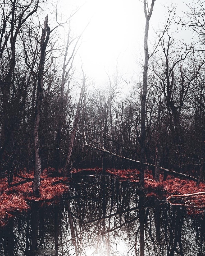 Мрачные виды штата Мэриленд