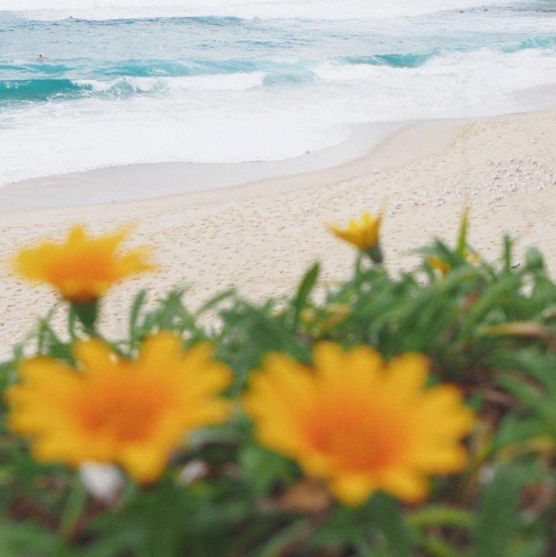 Завораживающие просторы Британии - 5