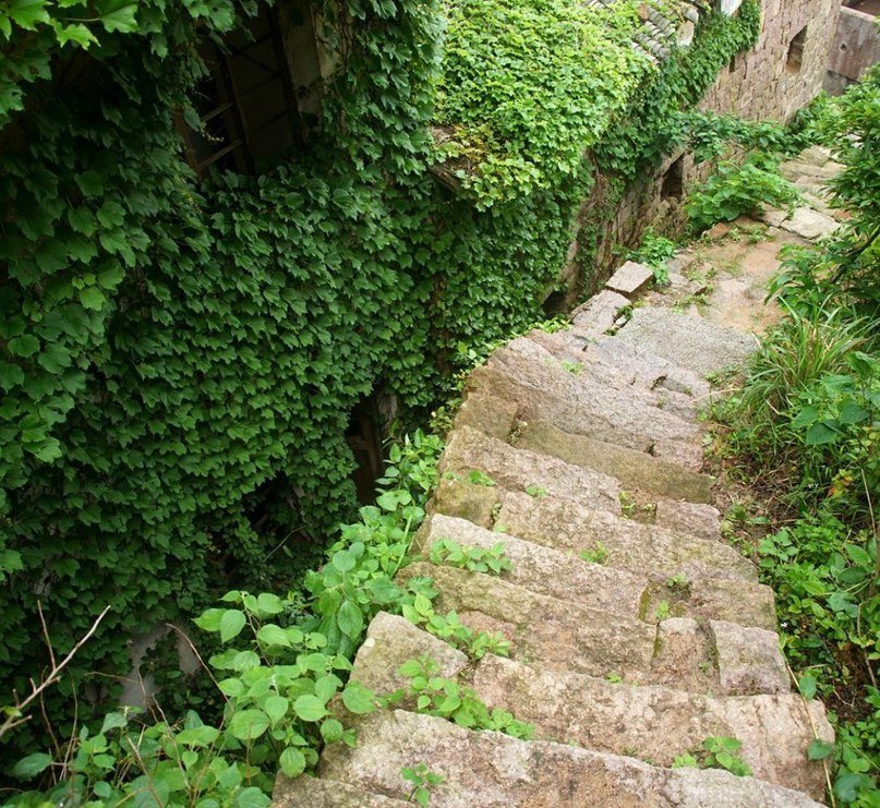 Когда природа побеждает: заброшенная рыбацкая деревня в Китае - 5