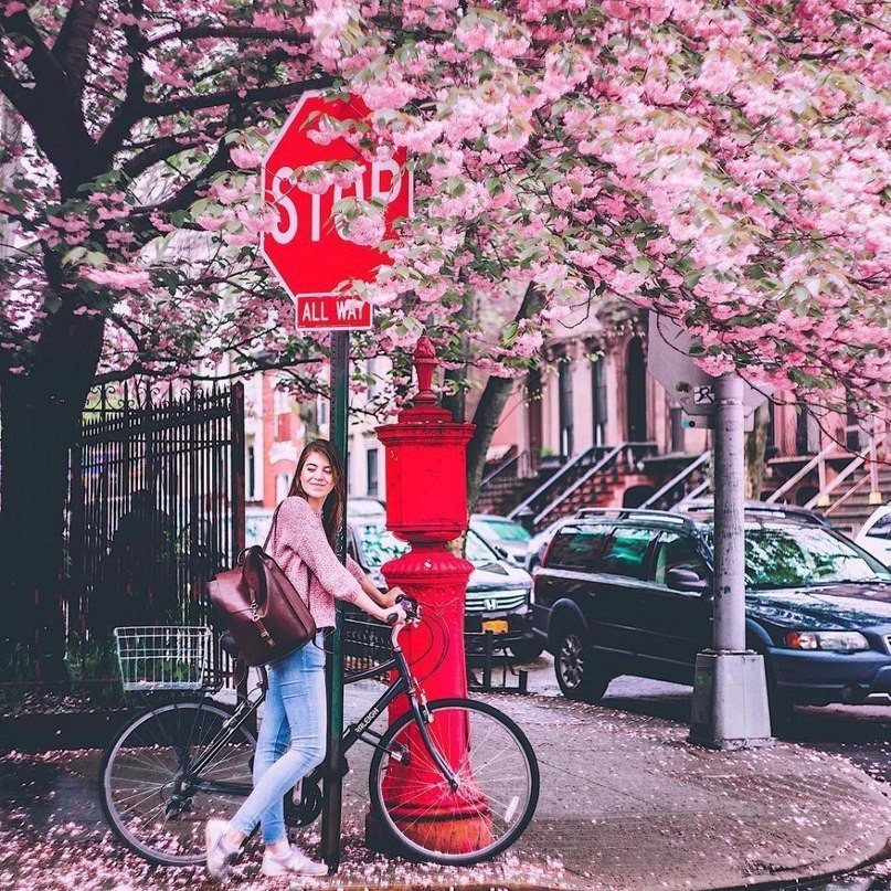 Яркая весна в Нью-Йорке - 7