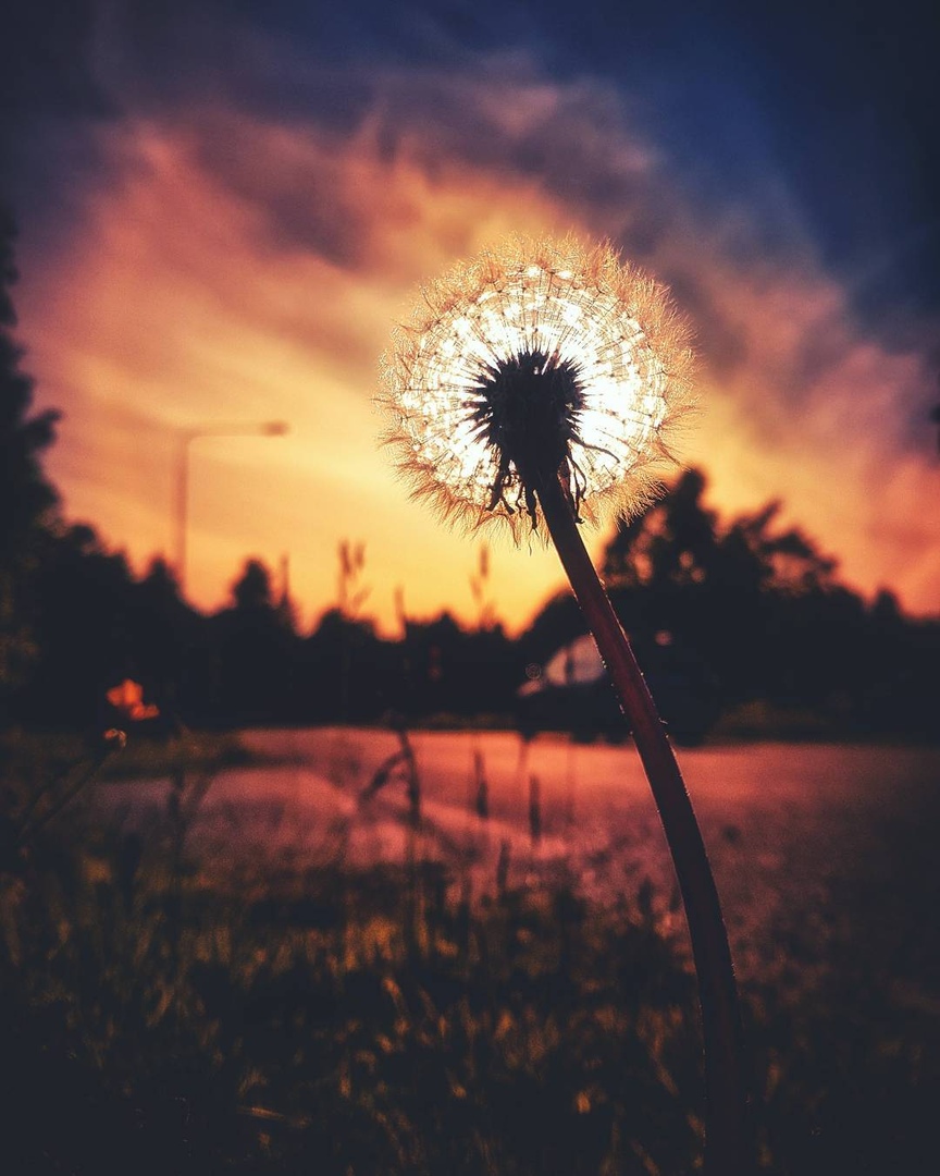 Умео, Швеция