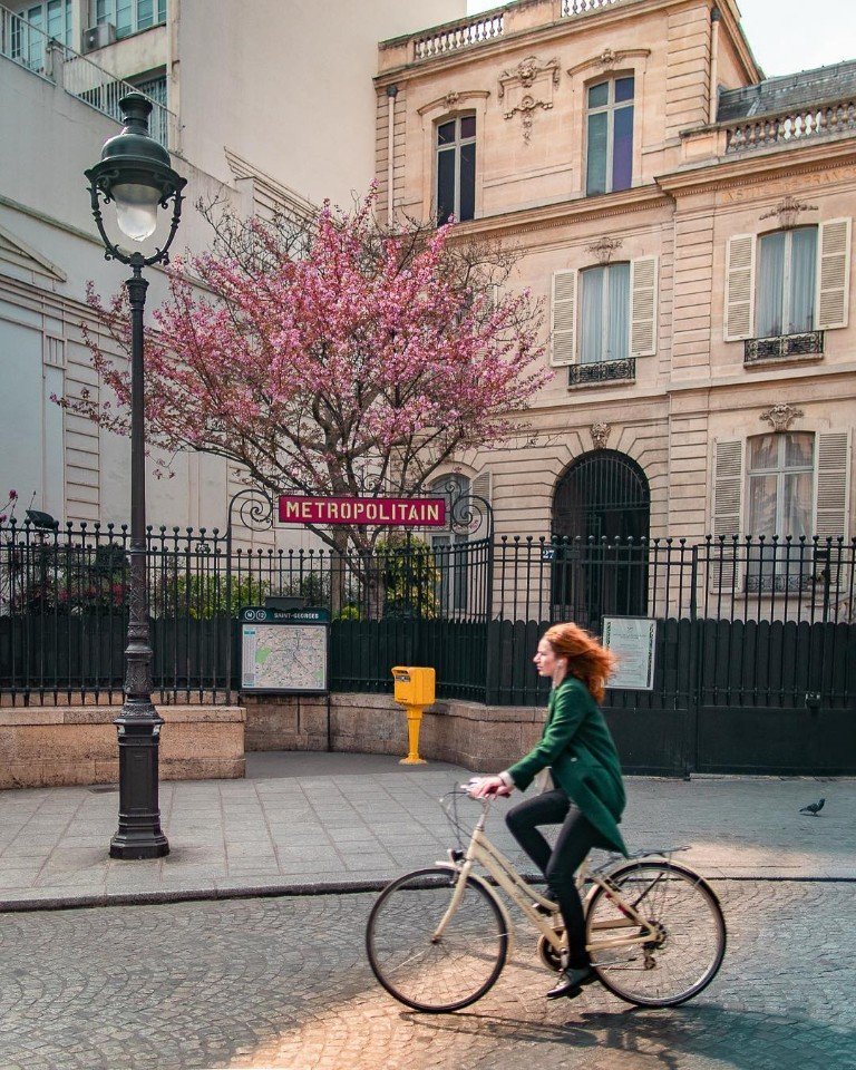 Немного цветущего весеннего Парижа - 7