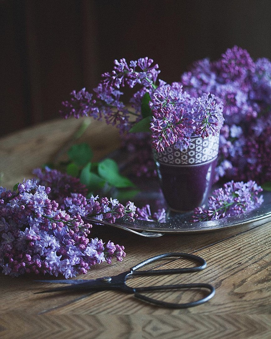 Запомните одно: всё будет хорошо. Главное верить. - 6