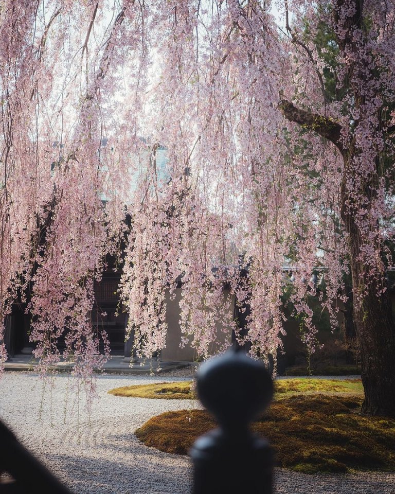 Прекрасные пейзажи Японии 