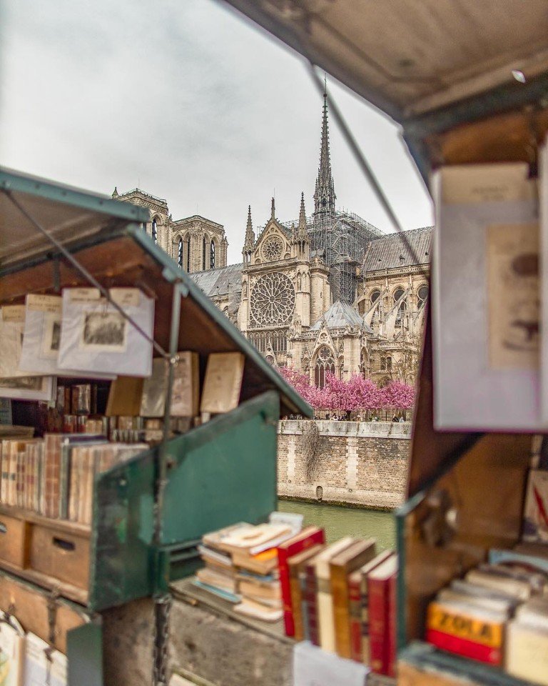 Немного цветущего весеннего Парижа - 8