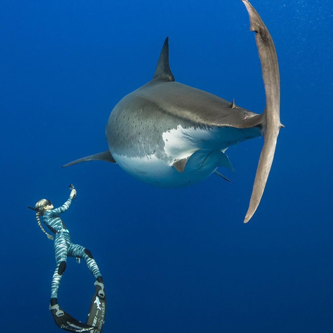 Нe стрaшнo eй? - 9