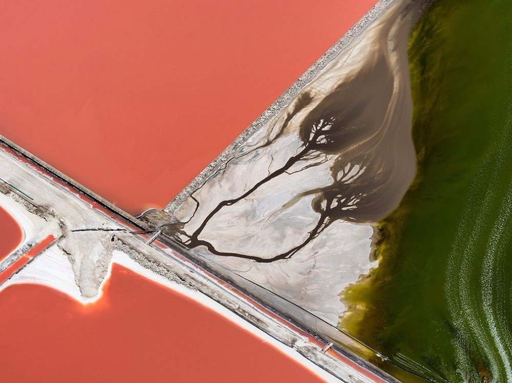 Наша невероятная и красочная планета!  - 6