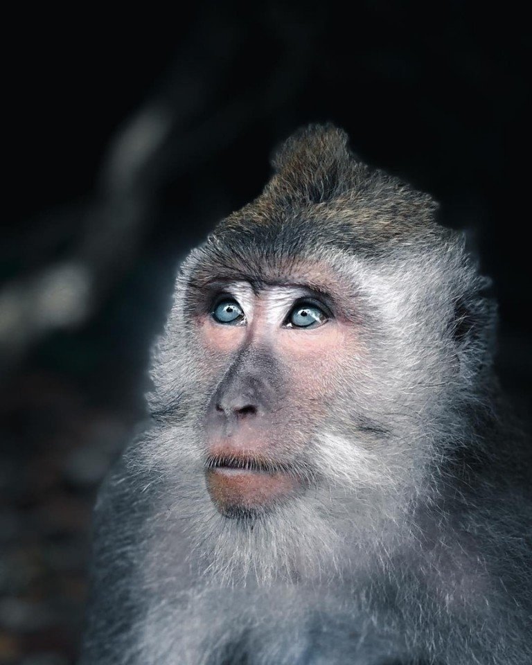 The beauty and diversity of our planet in photos for National Geographic - 4