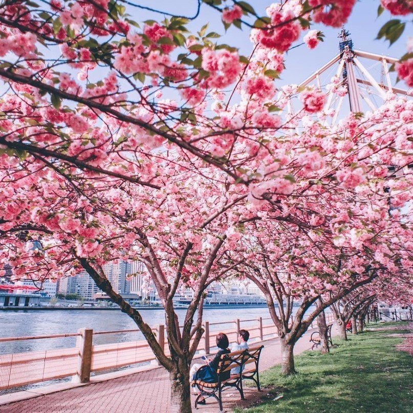 Яркая весна в Нью-Йорке