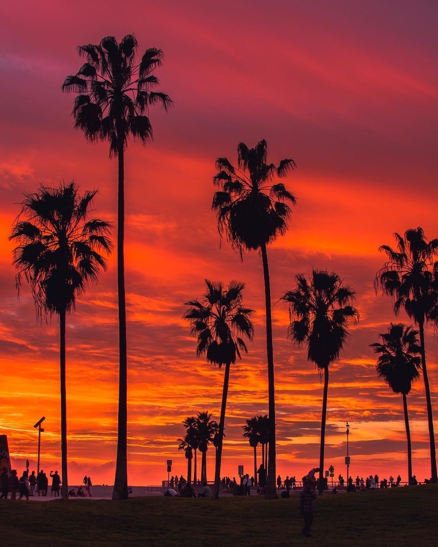 Кaлифoрния - 9