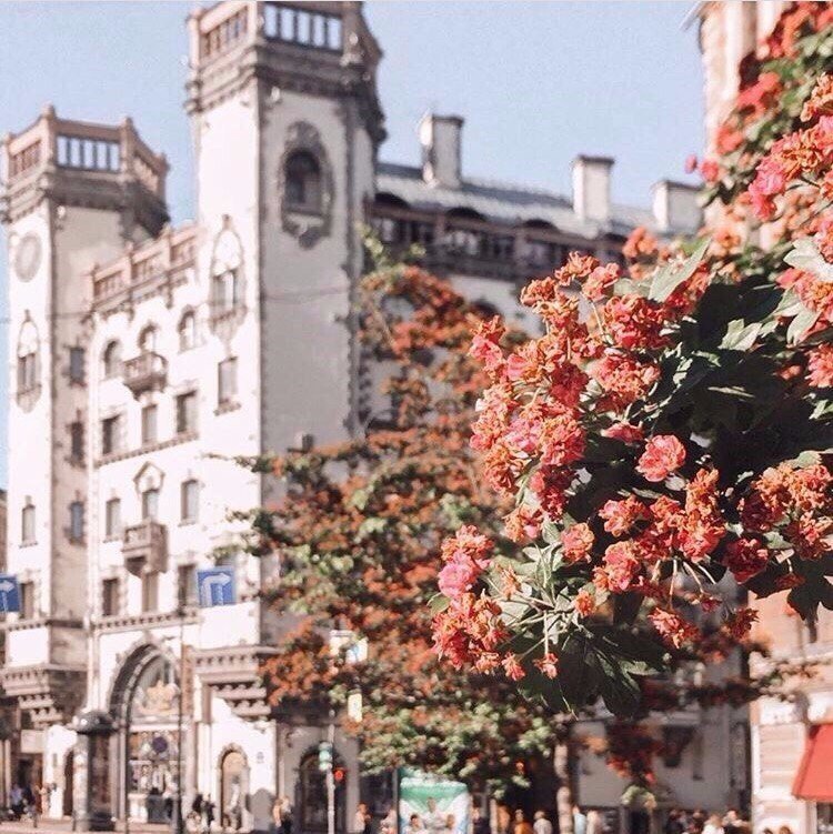 Заверните мне немного Питера с собой! - 7