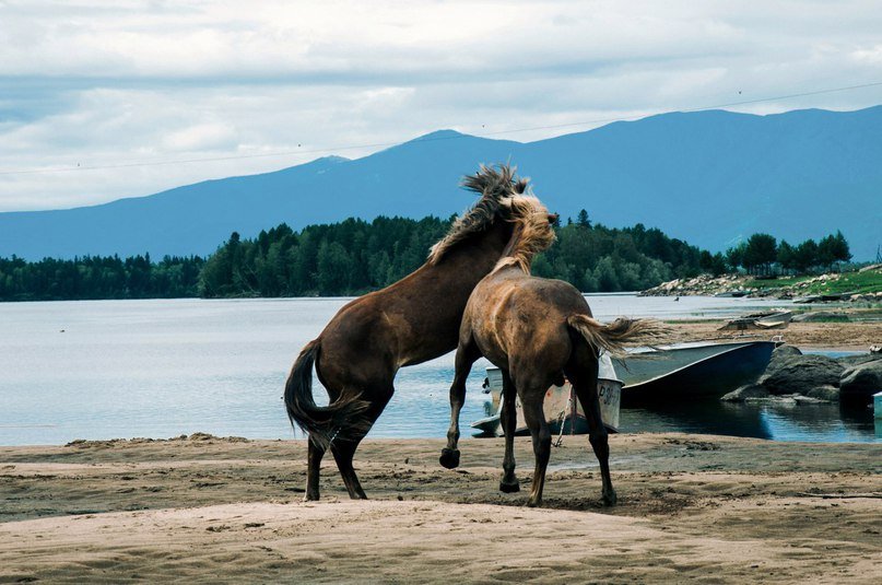 Байкал - жемчужина России - 9