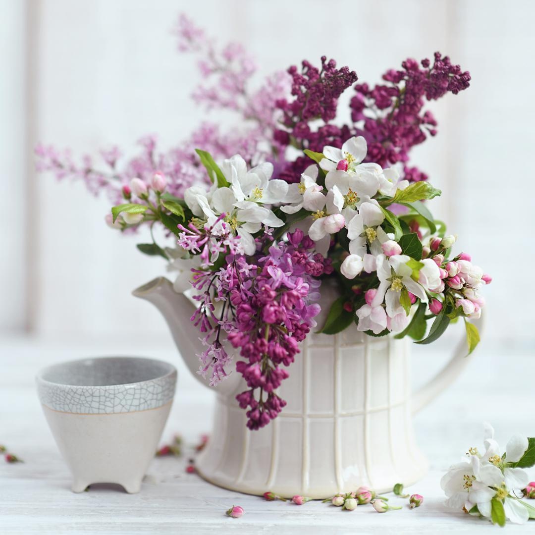 Я не особенно разбираюсь в больших вопросах жизни. Мне нравится только прекрасное. Вот ты принёс сирень — и я уже счастлива. 

Эрих Мария Ремарк, "Три товарища"