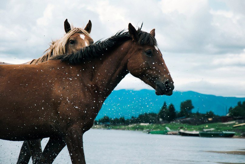 Байкал - жемчужина России - 5