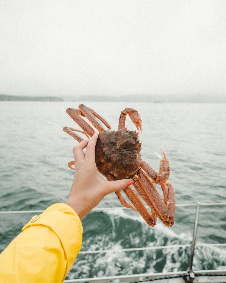 Минимализм и красота Камчатки - 5