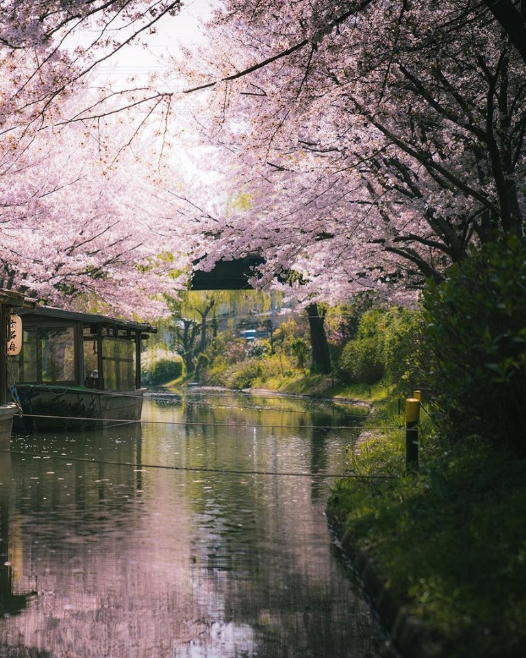 Прекрасные пейзажи Японии  - 5