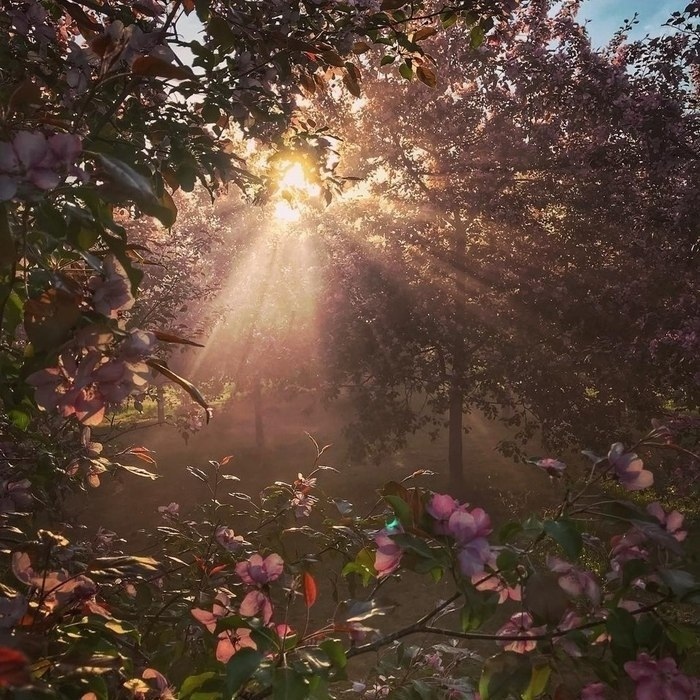 Пусть то, что сегодня было мeчтoй, завтpа стaнет чаcтью жизни.