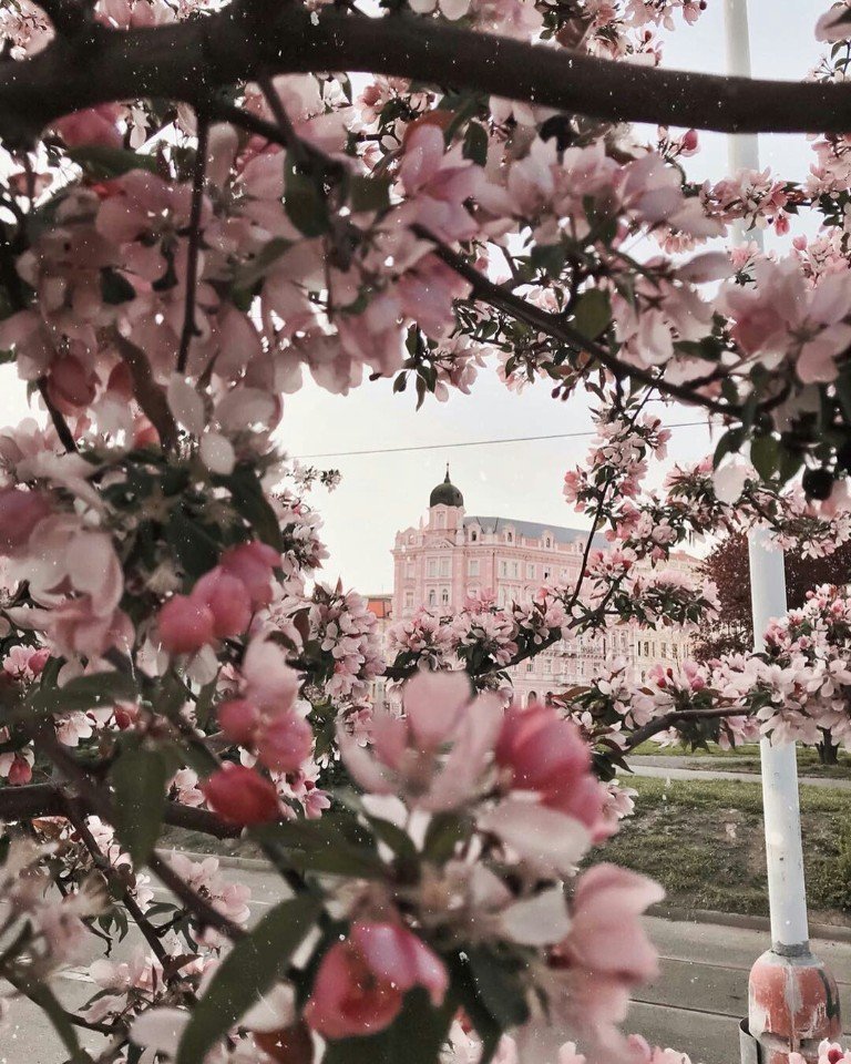 Beautiful spring Prague - 6