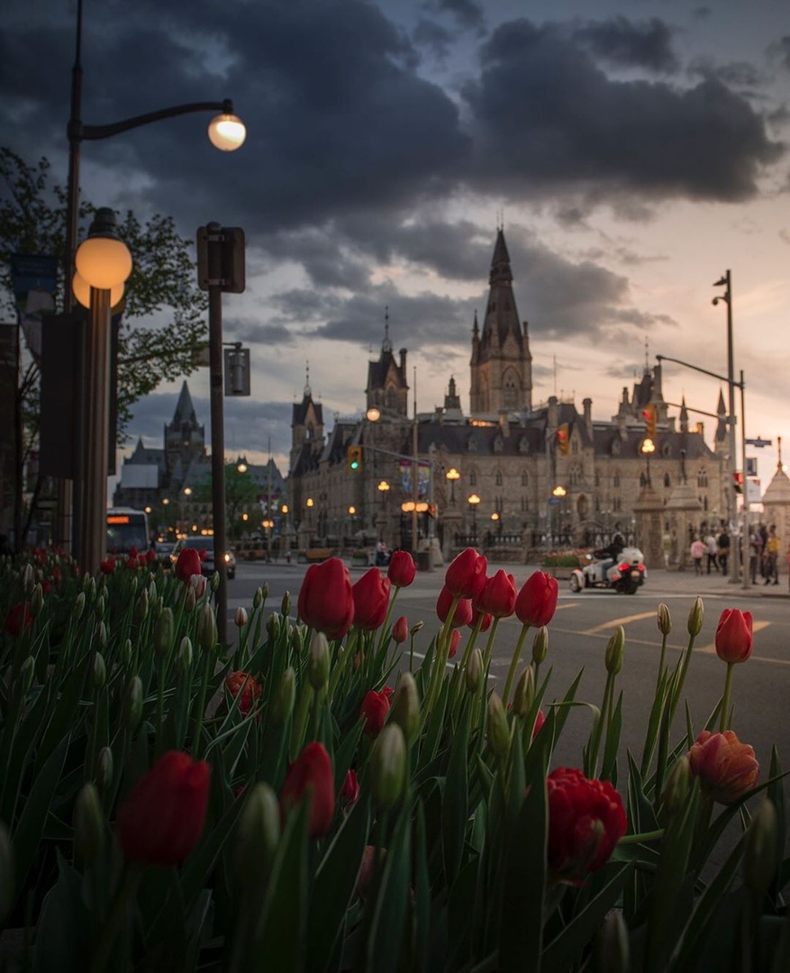 Оттава, Канада