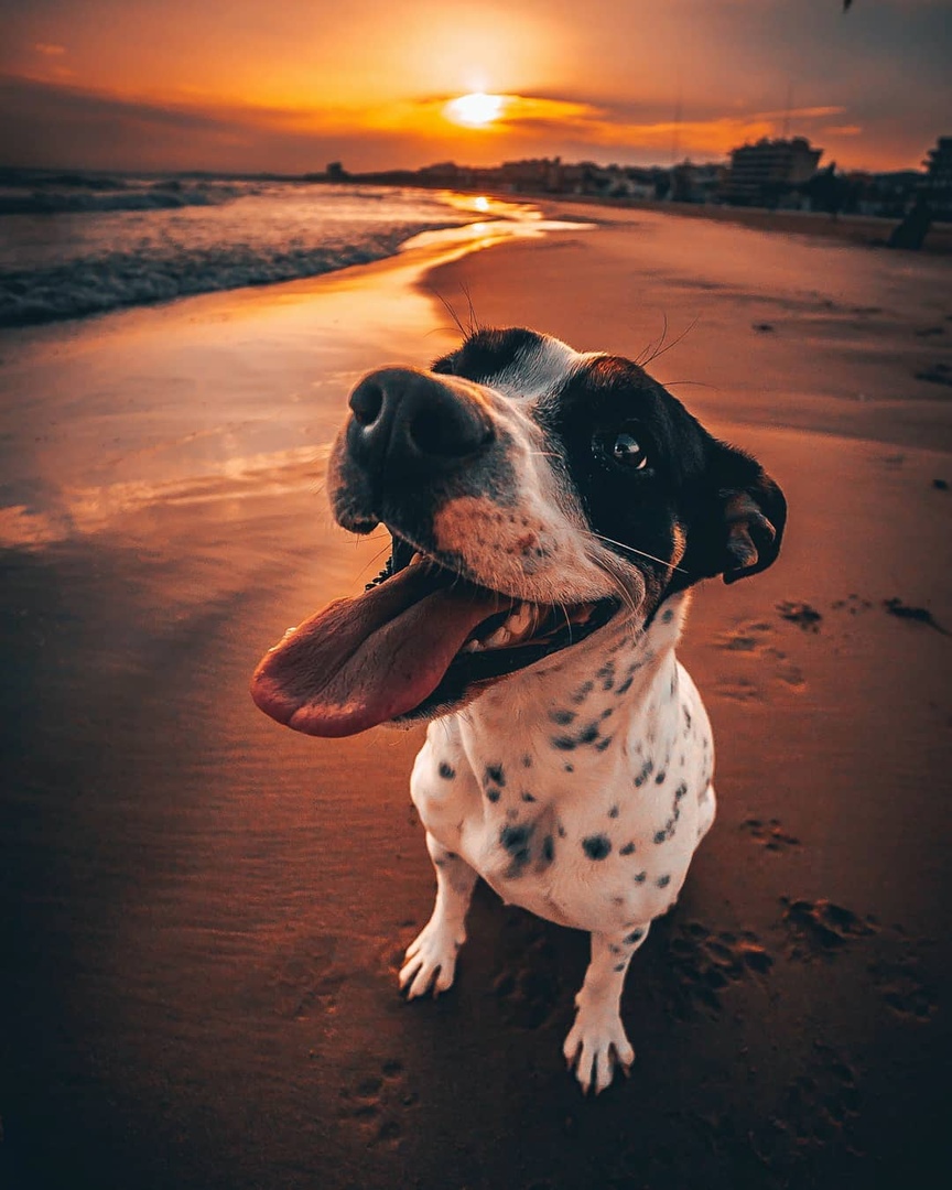 Барселона, Испания