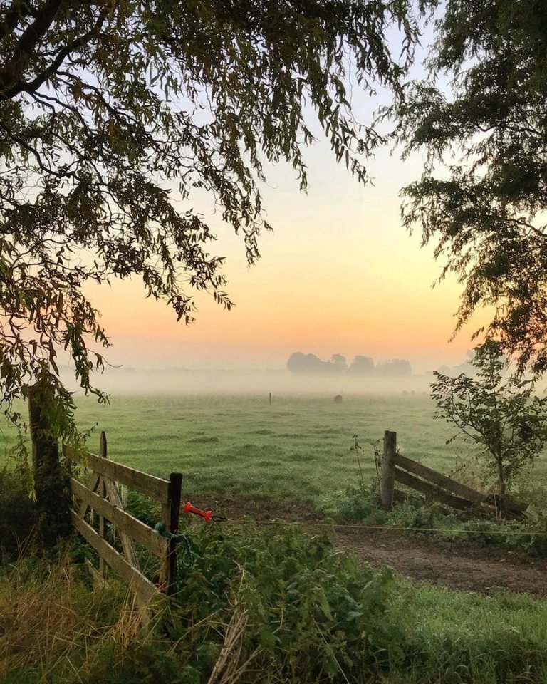 Умиротворенные Нидерланды