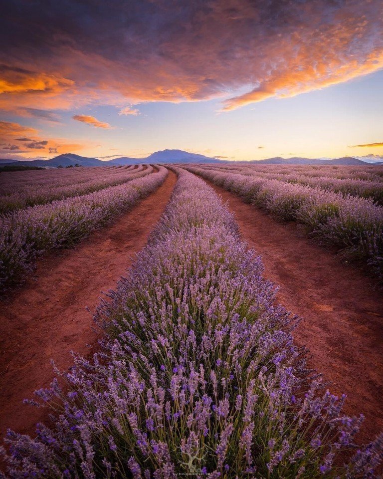 Такая яркая Австралия - 5