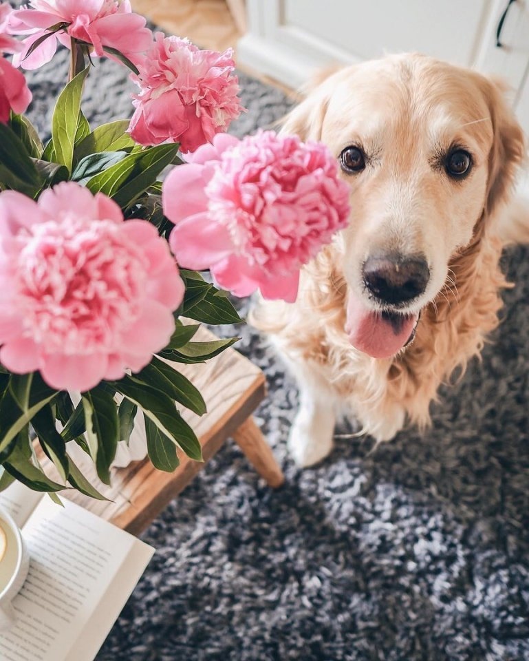 Пусть то, что сегодня было мечтой, завтра станет частью жизни. - 1