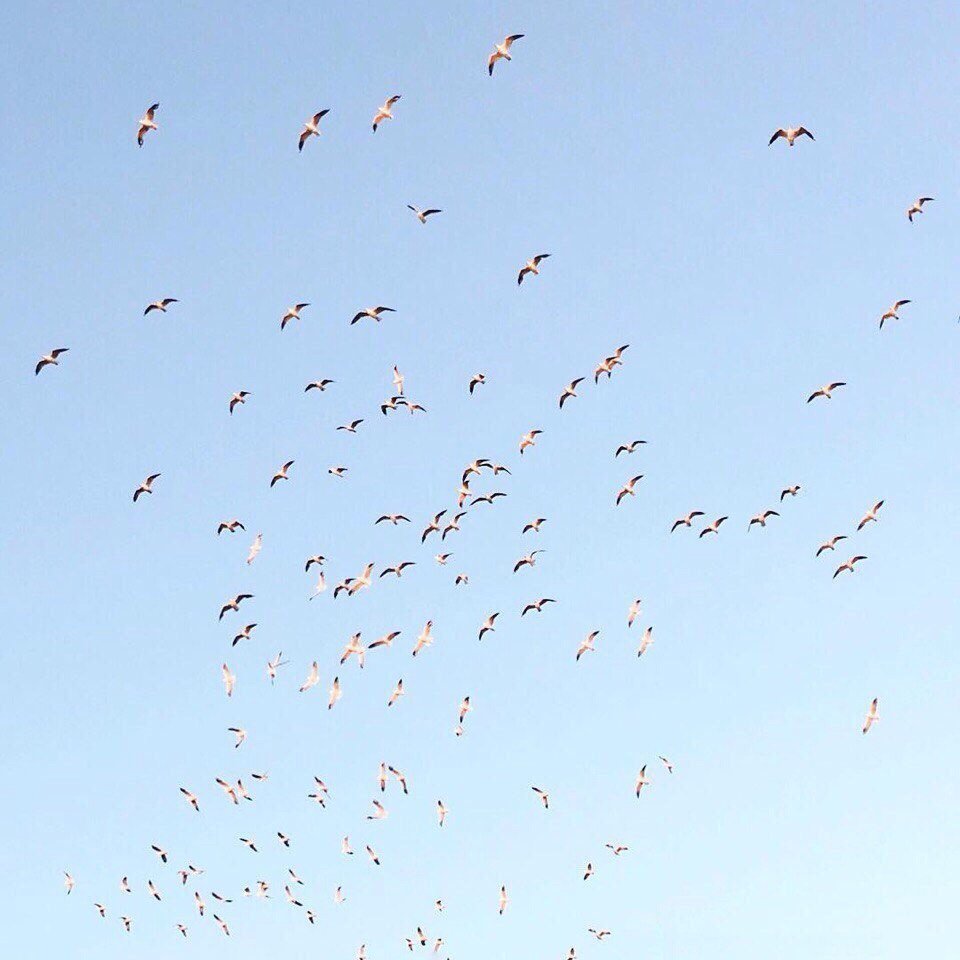 — И что мы будем делать? 
— Наслаждаться... моментом. - 5