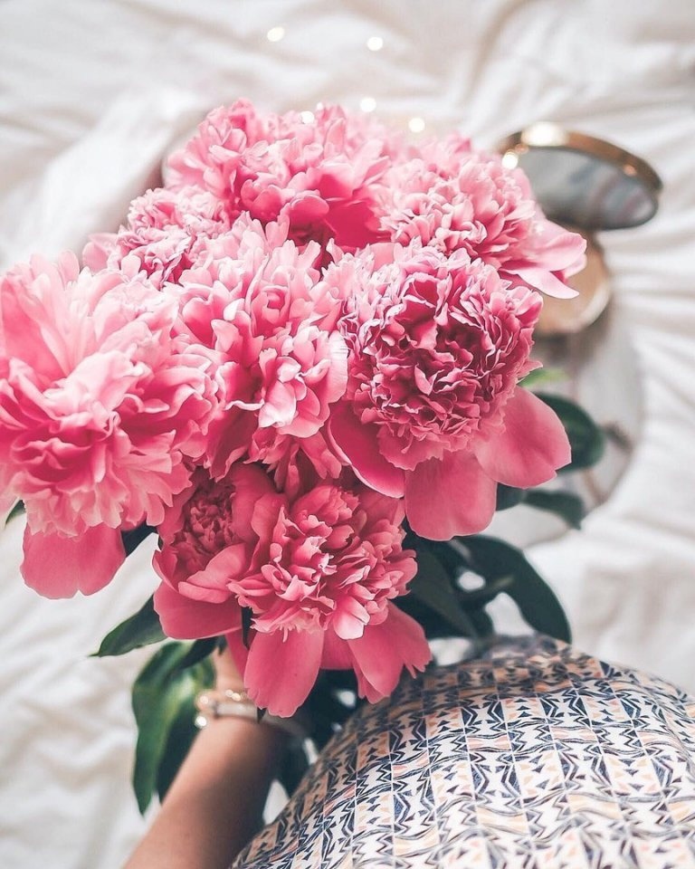 Пусть то, что сегодня было мечтой, завтра станет частью жизни.