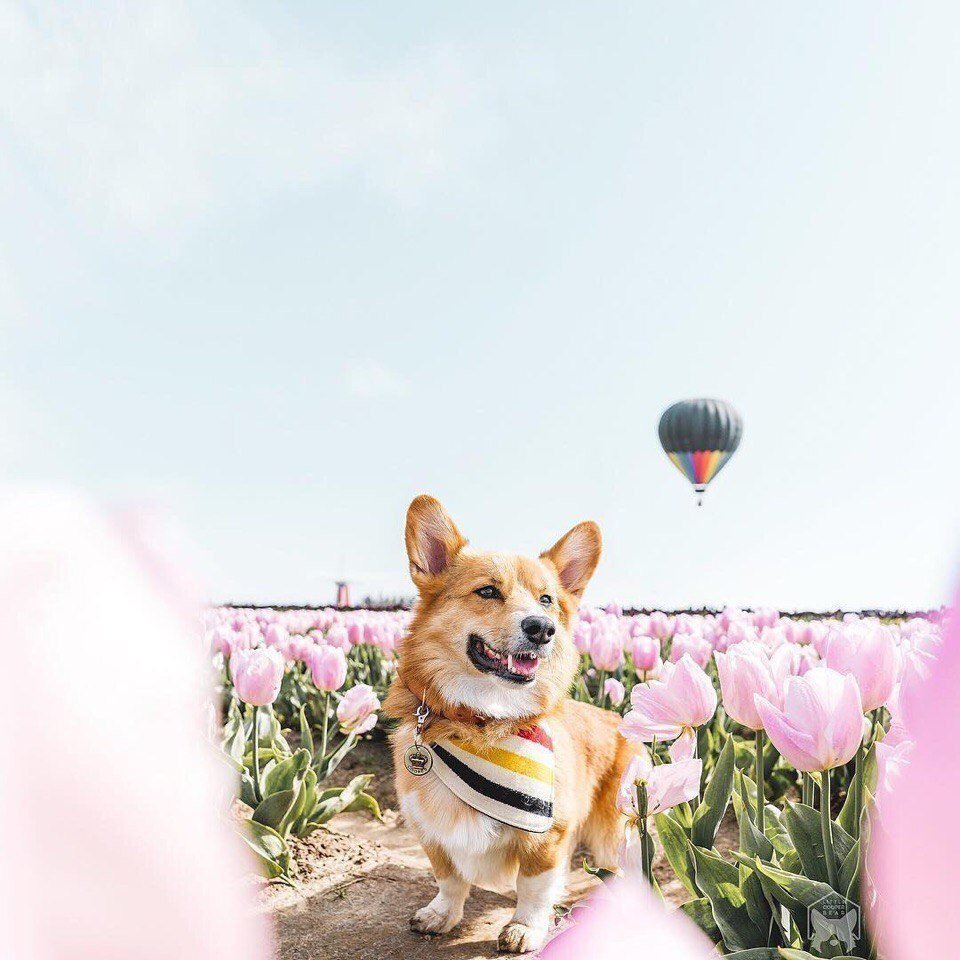 Мир принадлежит тому, кто ему рад! - 5