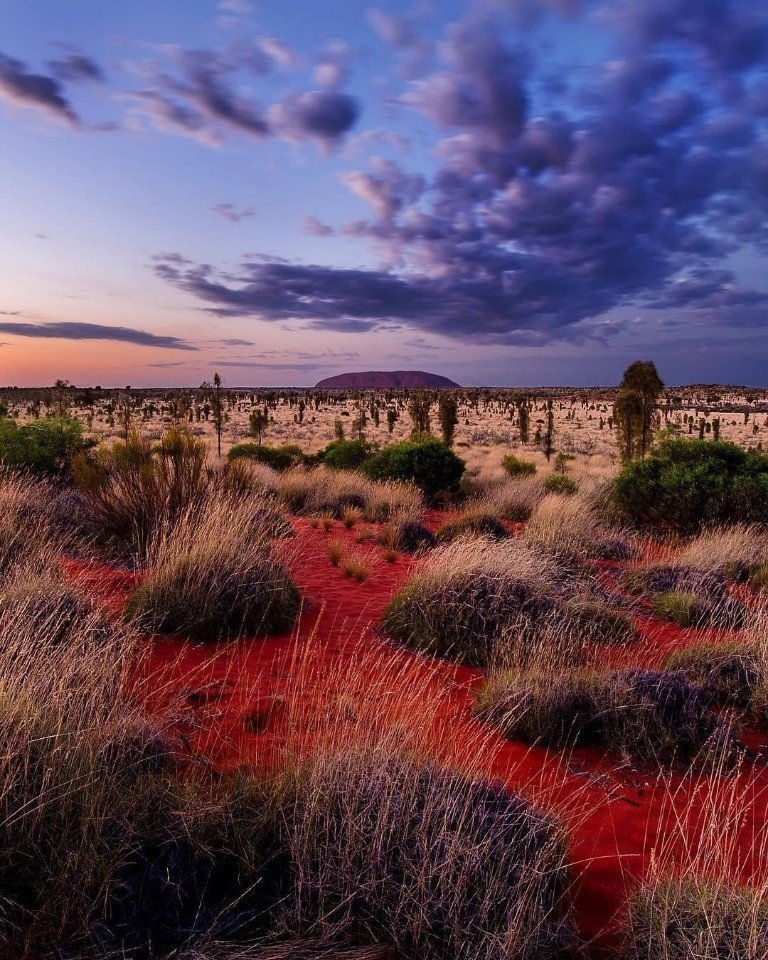 Сейчас бы в Австралию! - 8