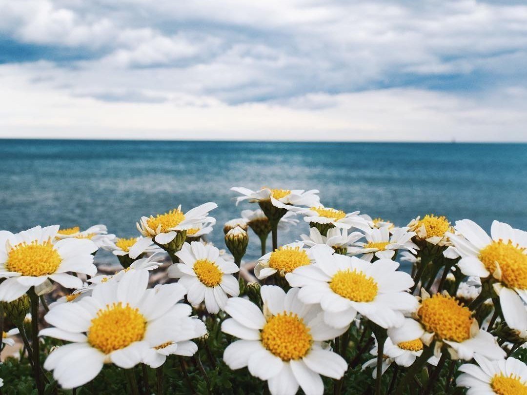 Мысли, которые мы выбираем – подобны краскам, которыми мы пишем на холсте жизни. Думайте красиво. - 5