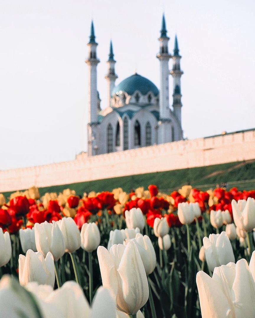 Атмосфера родной Казани