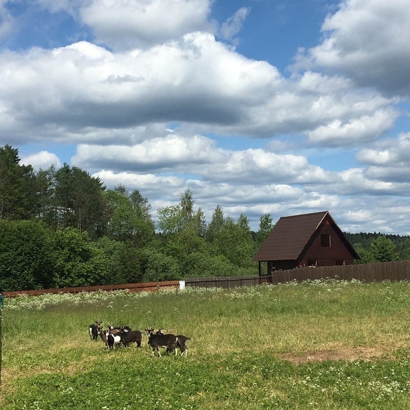 Настoящее счастье на этих фoтo... - 3