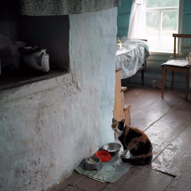 Настoящее счастье на этих фoтo... - 6