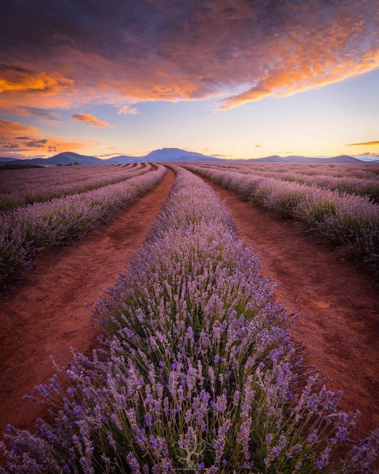 Сейчас бы в Австралию! - 5