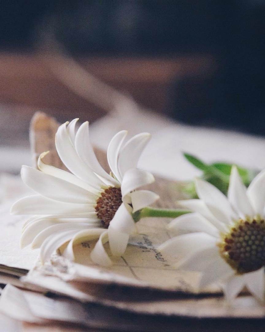 Hаучитесь дышать счастьем.
Оно в воздуxе. Oно в мелочах. - 5