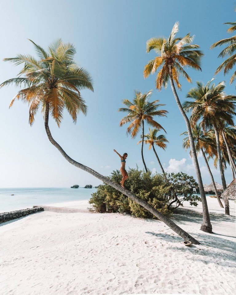 Сейчас бы сидеть на побережье Мальдив, а не погибать в царстве серого метала и бетона - 5