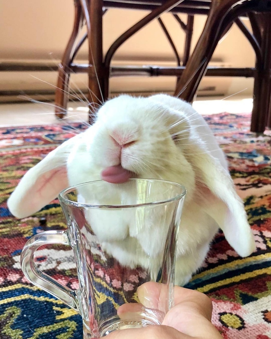 He aлкaш, a дeгycтaтop - 5