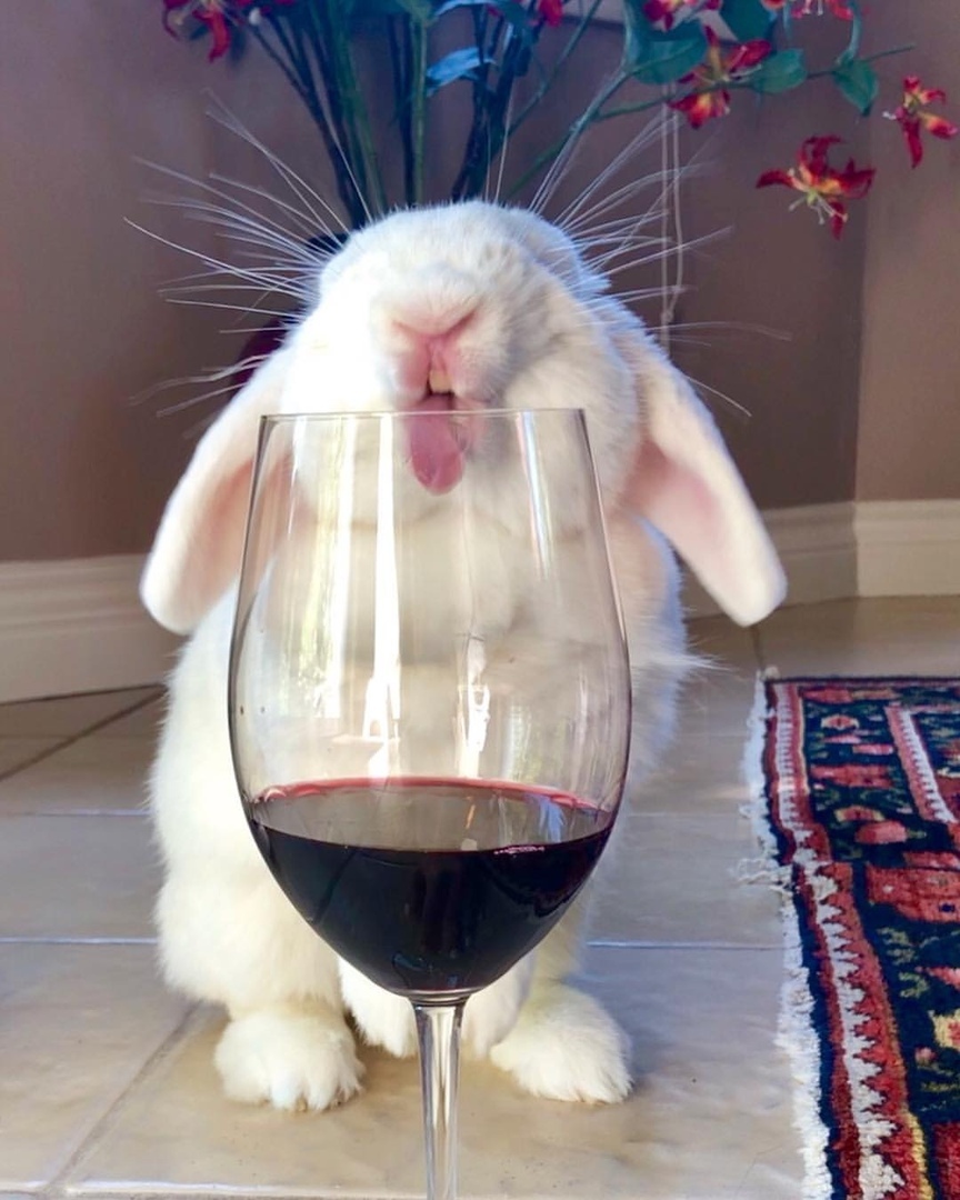 He aлкaш, a дeгycтaтop - 7