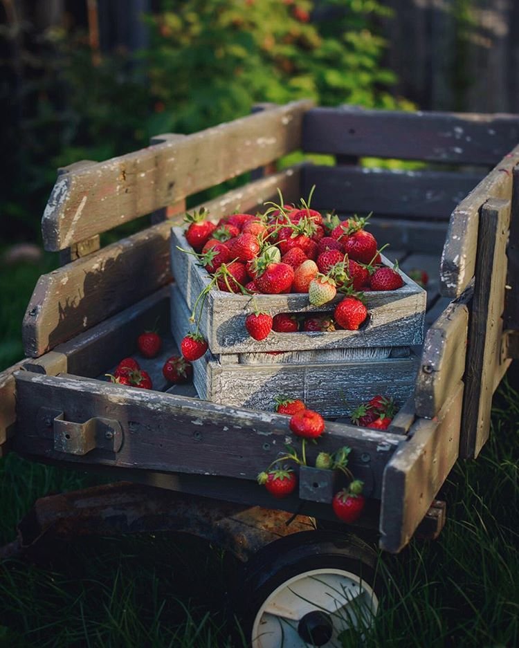 Пусть это лето будет счастливым... - 6