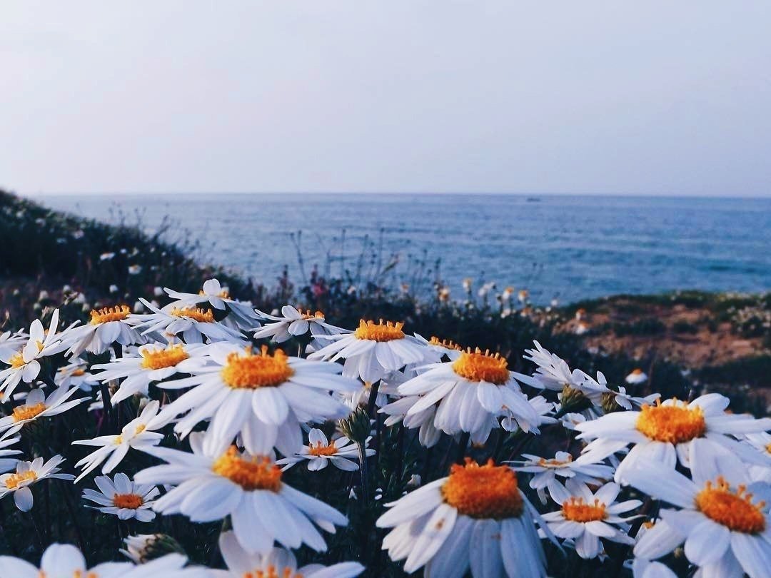 Мысли, которые мы выбираем – подобны краскам, которыми мы пишем на холсте жизни. Думайте красиво. - 7