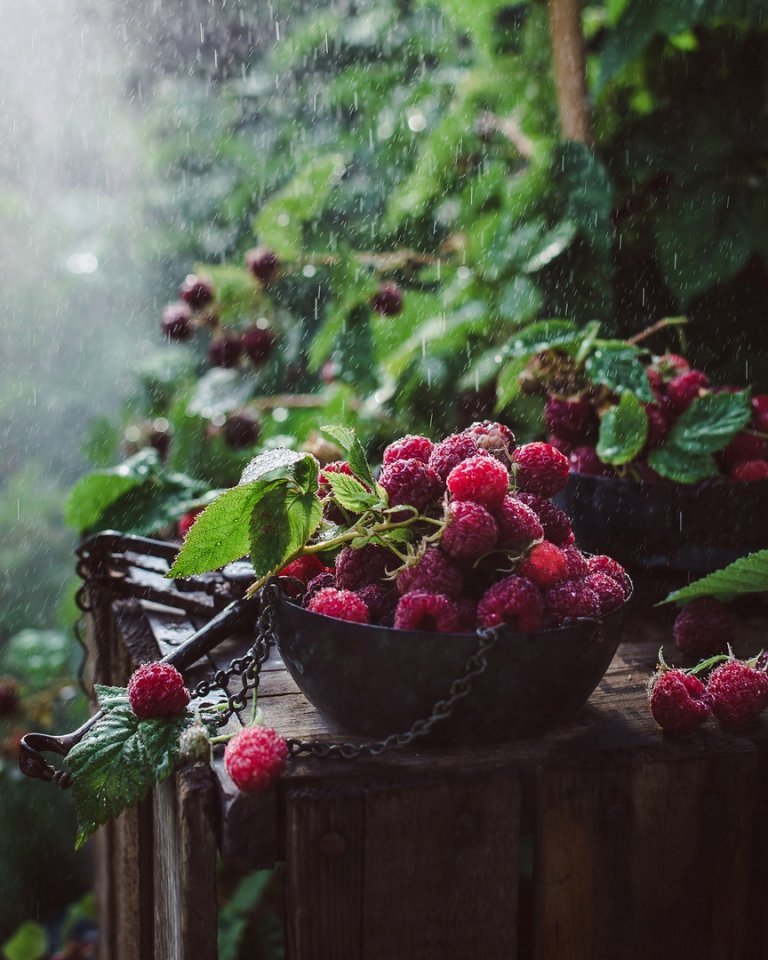 Пусть это лето будет счастливым...