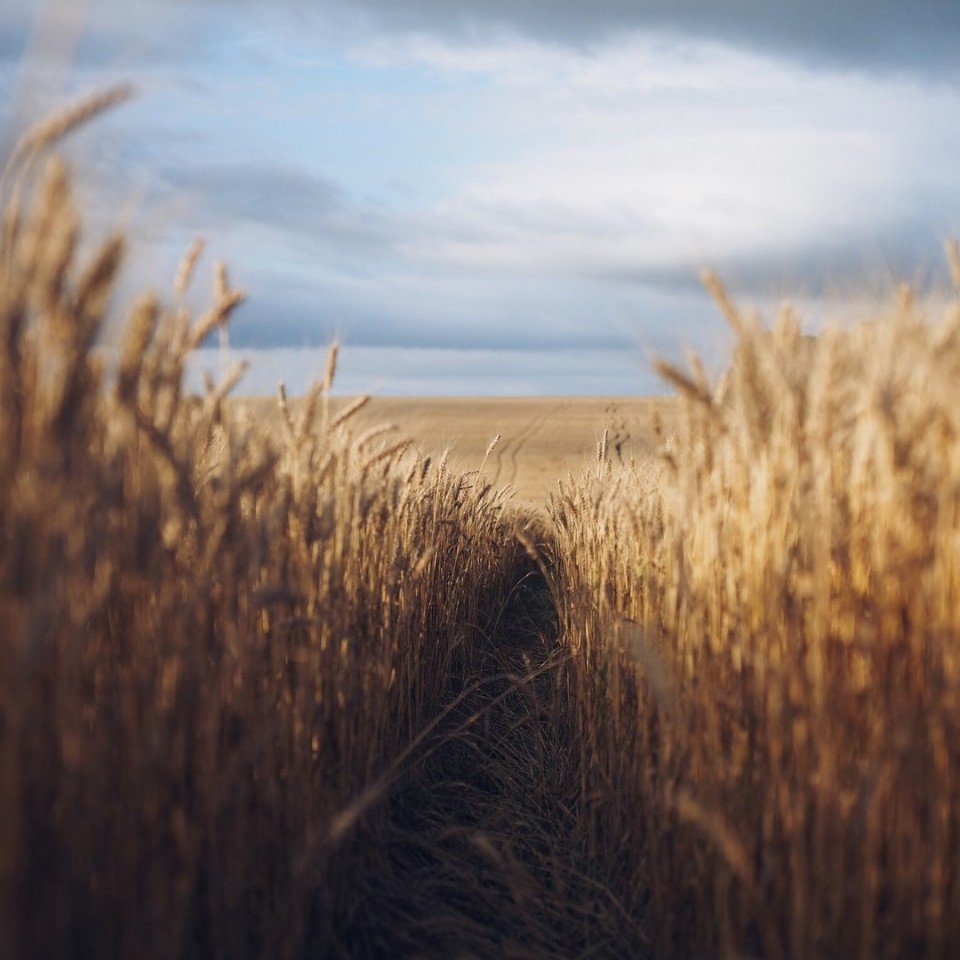 Прекрасные родные просторы - 7