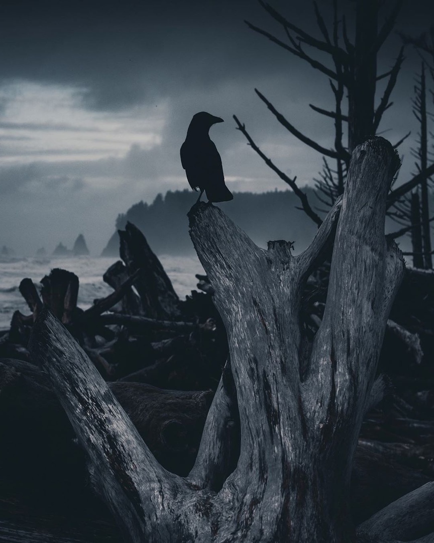 Maксимально мрачно