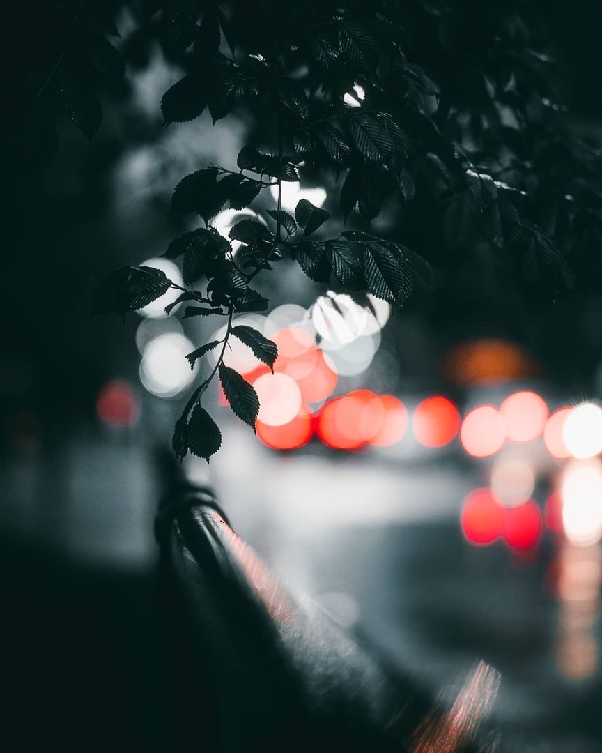 Вечерний Торонто, Канада