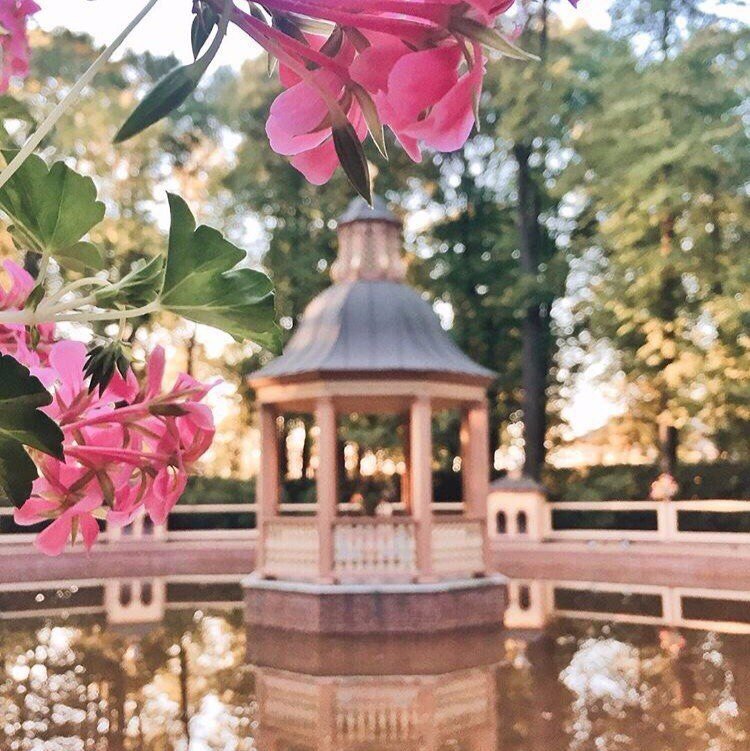 Яркий летний Питер - 6